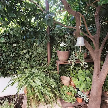 La Casa Del Jardin Candeleda