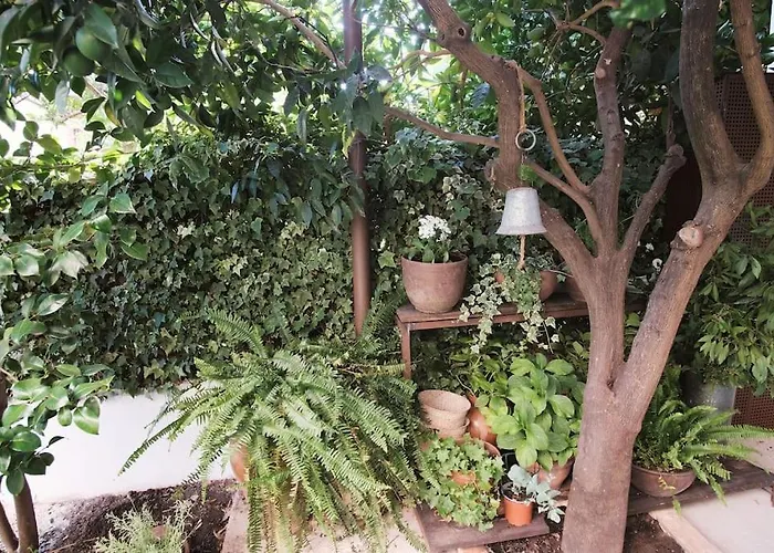 La Casa Del Jardin 칸델레다