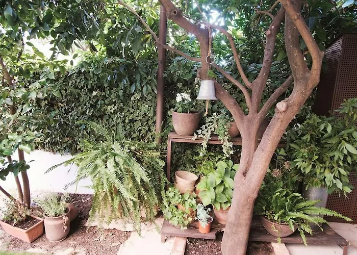 La Casa Del Jardin 펜션 *